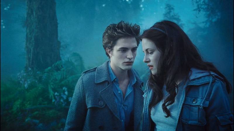 Popular Novels that are actually Twilight Fanfiction